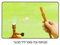 (בספר ארבע תמונות, היעזר במנחה)